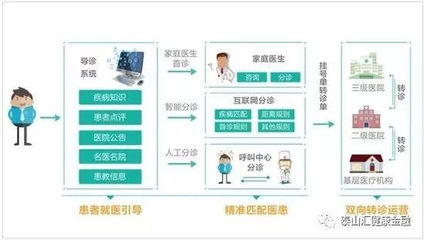 國產(chǎn)醫(yī)療器械崛起 資本青睞與進口替代浪潮下的互聯(lián)網(wǎng)信息服務(wù)新機遇