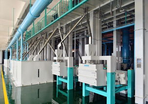 東方集團現代農業板塊加速新米生產，東方糧倉方正園區全力沖刺旺季